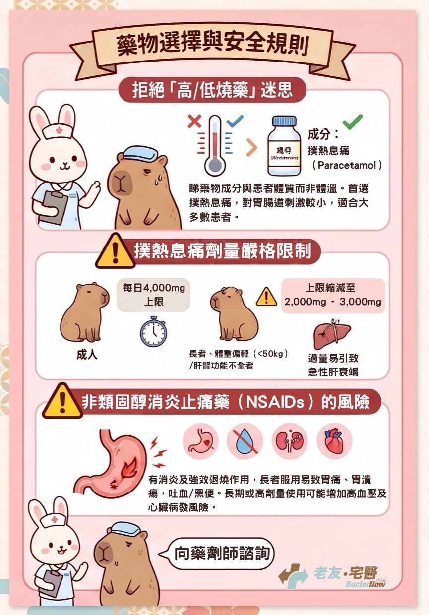 藥物選擇與安全規則
